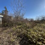 土地：室蘭市白鳥台5丁目 画像7