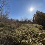 土地：室蘭市白鳥台5丁目 画像6